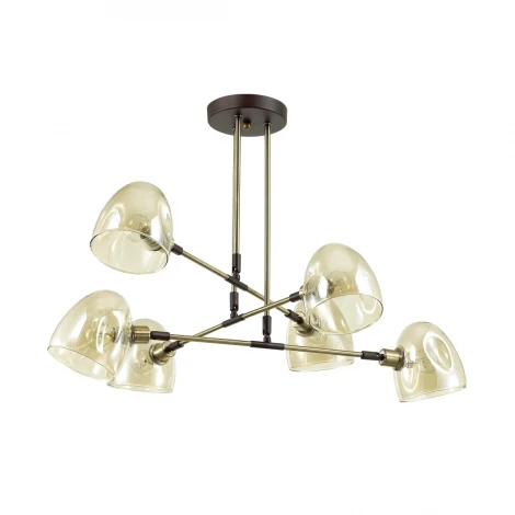 Потолочная люстра Lumion Noah 4434/6C