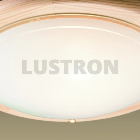 Настенно-потолочный светильник Sonex Riga 173