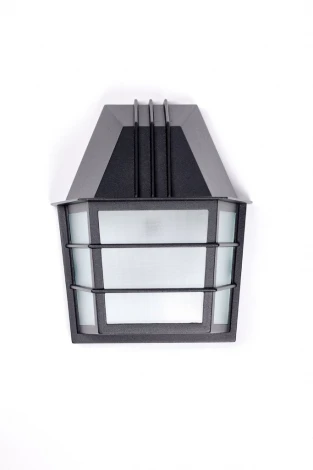 Настенный фонарь уличный Oasis Light 91434 Bl (220V, IP44)