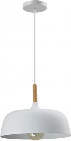 Подвесной светильник Moderli Augustina V1270-1P