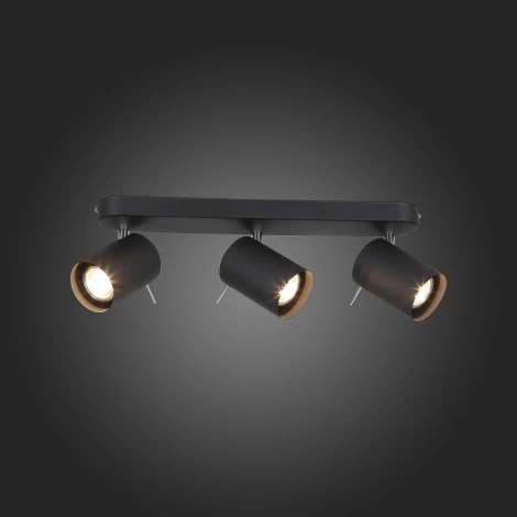 Спот ST Luce Fanale SL597.401.03 (220V, круглые)