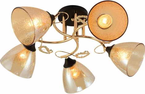 Потолочная люстра на штанге Reluce 01321-0.3-05 FGD+BK (220V)