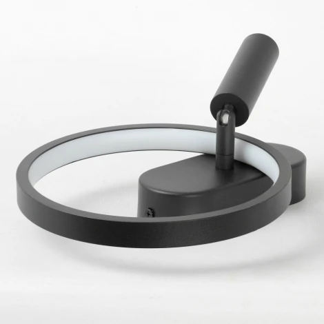 Настенный светильник со спотом Lussole Clay LSP-7238 (LED, 220V)