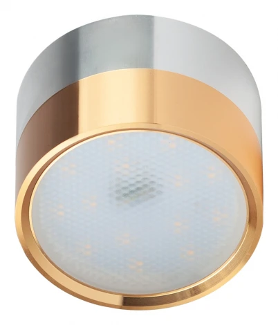 Точечный светильник ЭРА OL7 GX53 GD/CH OL7 GX53 GD/CH