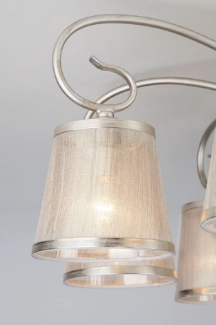 Потолочная люстра Eurosvet Liona 60065/8 серебро (220V)