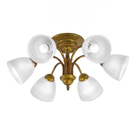 Потолочная люстра Day&Night S9101-6