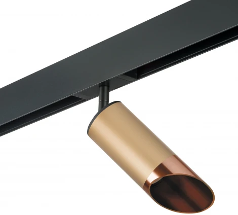 Трековый светильник однофазный 220V Lightstar Rullo PRO440130 (круглые)