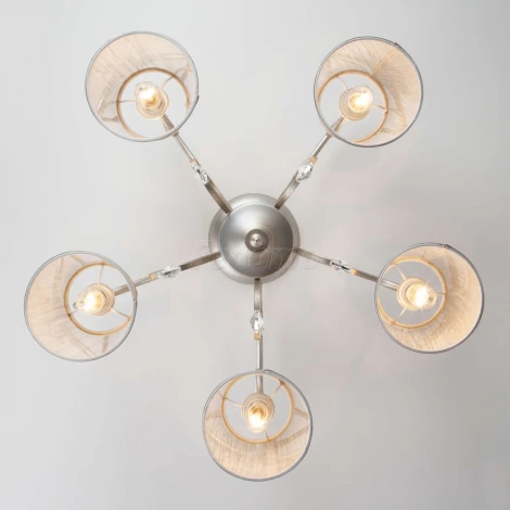 Потолочная люстра Eurosvet Liona 60065/5 серебро (220V, хрусталь Strotskis)