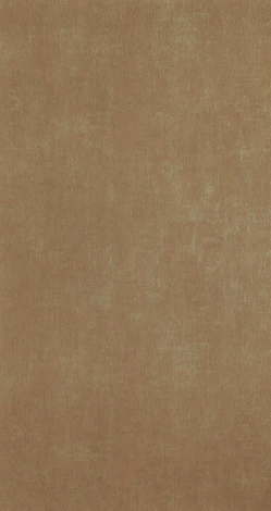 Рулонные обои BN International BN 46005