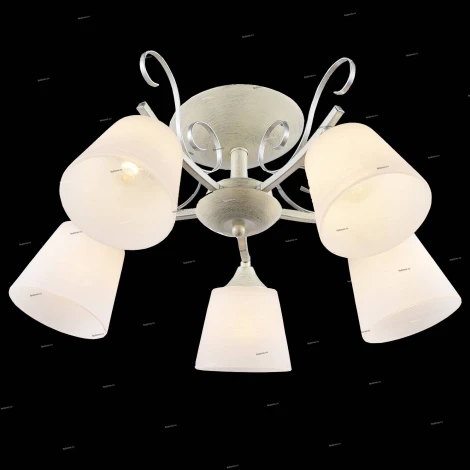 Потолочная люстра J-Light Bowi 1059/5C