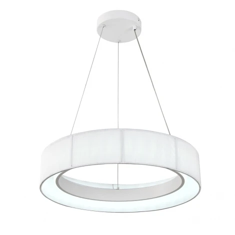 Подвесной светильник светодиодный с пультом и ночным режимом Indigo Luminosa V000209L (13041/B/1P White)