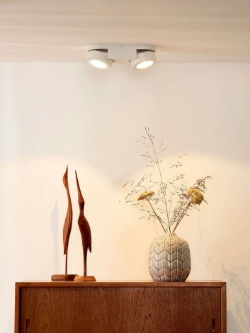 Накладной точечный светильник Lucide Mitrax 33158/10/31