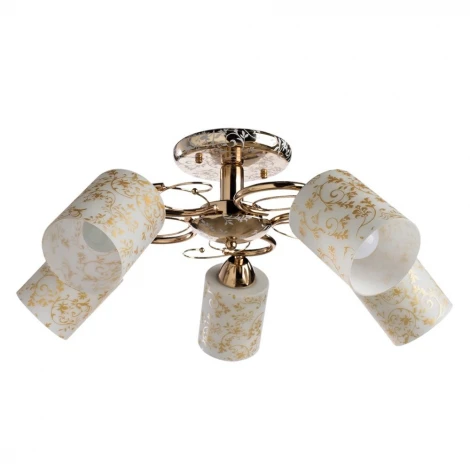 Потолочная люстра Arte Lamp Selection A8164PL-5GO