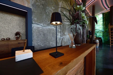 Интерьерная настольная лампа Deko-Light Sheratan 346014