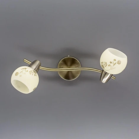 Спот на штанге Citilux Соната CL520523 (220V, цветы, круглые)