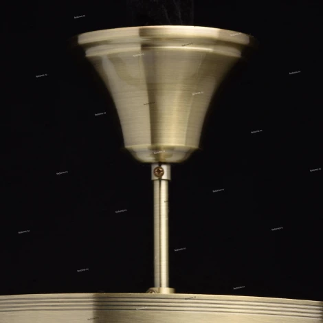Потолочная люстра MW-Light Ариадна 450016203