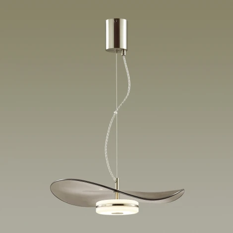 Подвесной светильник Odeon Light Fluent 4858/13L