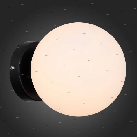 Настенно-потолочный светильник ST Luce Acini SL717.401.01