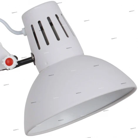 Офисная настольная лампа Arte Lamp Ragno A2043LT-1WH