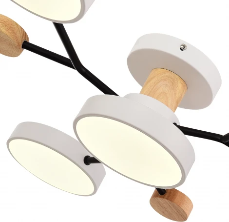 Потолочная люстра на штанге Evoluce Faema SLE6006-502-04