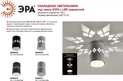 Точечный светильник ЭРА OL10 LD GX53 BK (220V)