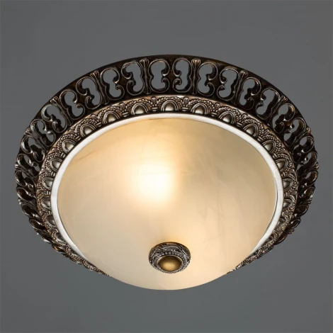 Потолочный светильник Arte Lamp Torta A7131PL-2SA
