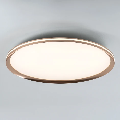 Потолочный светильник светодиодный с пультом с регулировкой цветовой температуры LED4U LED4U L3020-600 GD