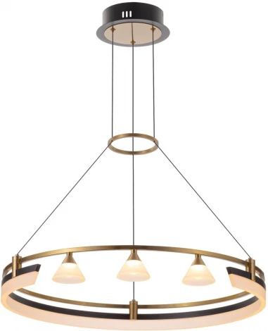 Подвесной светильник светодиодный Citilux Helly CL211062