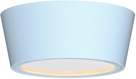 Потолочный светильник уличный Favourite Fantum 4676-1U (220V, круглые, IP54)