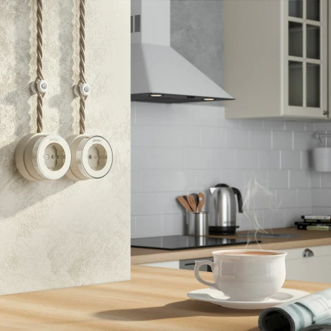 Розетка с заземлением Vintage (слоновая кость матовый/хром) Werkel W5871055 (a055930)