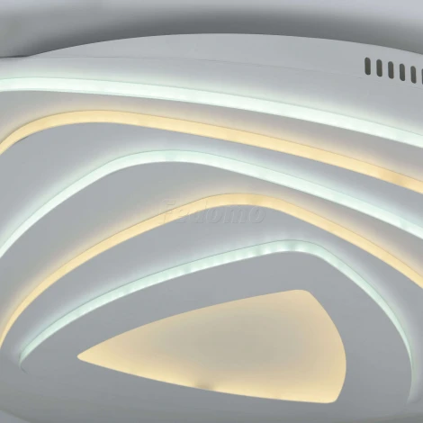 Потолочный светильник F-Promo Ledolution 2288-5C