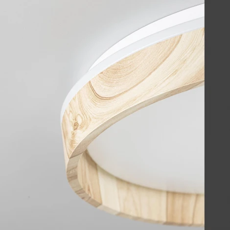 Потолочный светильник RGB круглый светодиодный с пультом Citilux Enzo CL753352G (220V, круглые)