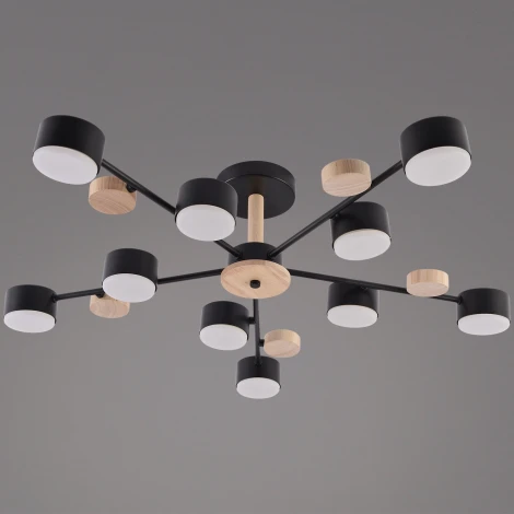 Потолочная люстра на штанге Reluce 03758-0.3-10 BK+WOOD GX53