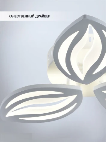 Потолочная люстра Seven Fires Arain SF5044/3C-WT