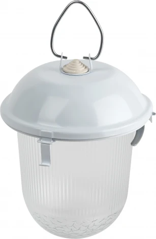 Подвесной светильник ЭРА НСП 02-100-001 (220V, IP54)