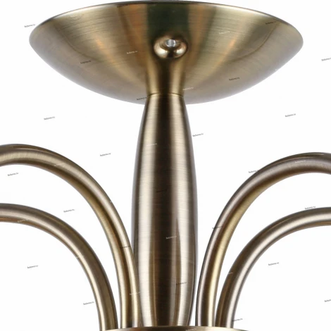 Потолочная люстра J-Light Gloria 1212/5C