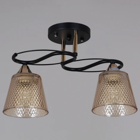 Потолочная люстра на штанге Reluce 06087-0.3-02 BK+FG (220V)