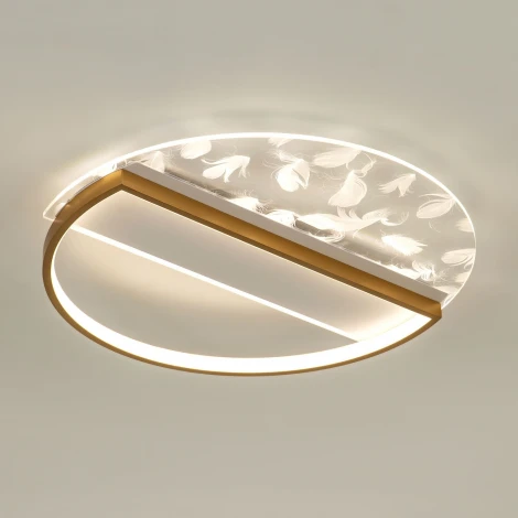 Потолочный светильник светодиодный с пультом с регулировкой цветовой температуры и яркости LED4U LED4U L1043-500 GD