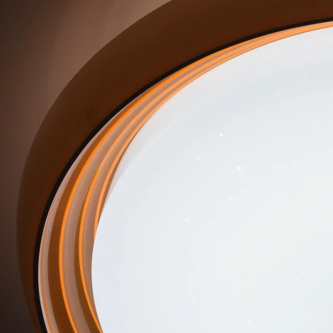 Потолочный светильник DeMarkt Ривз 674011801