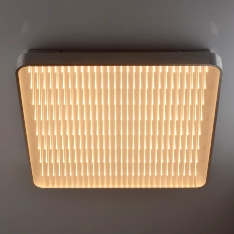Потолочный светильник MW-Light Граффити 678011901