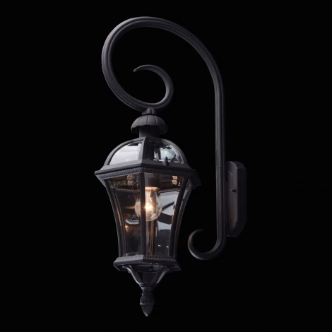 Настенный фонарь уличный DeMarkt Сандра 811020401