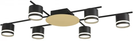 Потолочная люстра на штанге Lumion Benua 8304/6C золотой/черный, металл/акрил GX53 LED 6*7W 220V