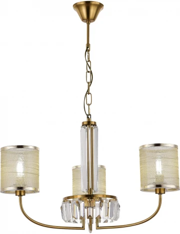 Подвесная люстра Evoluce Ellisse SLE1119-303-03 (220V, на цепи)