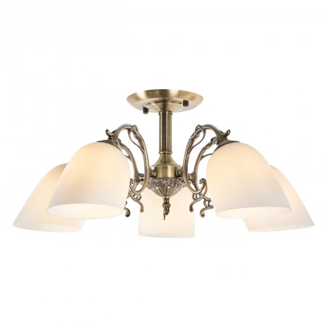 Потолочная люстра MyFar Biene MR1521-5C (220V)