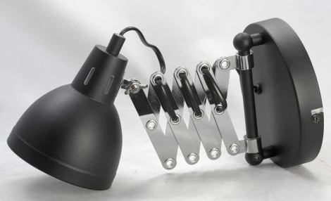 Бра на гибкой ножке для чтения Lussole Loft Koyukuk GRLSP-8049 (220V, IP21)