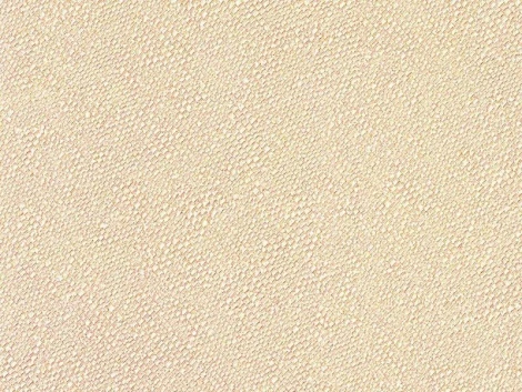 Обои виниловые Zambaiti Trussardi III 3443 10,05 x 0,7 м