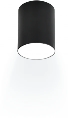 Накладной светильник Ritter Arton 59979 1