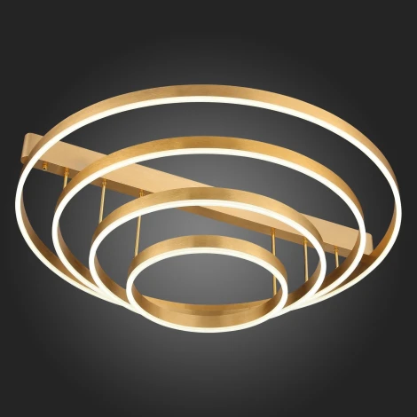 Потолочная люстра ST Luce Onze SL944.202.04