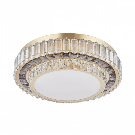 Потолочный светильник круглый Arte Milano 319133/D500 GD (регулировка яркости, LED, 220V, пульт управления, круглые)