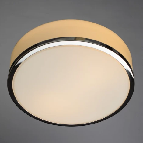 Потолочный светильник Arte Lamp Aqua-drum A4440PL-2CC